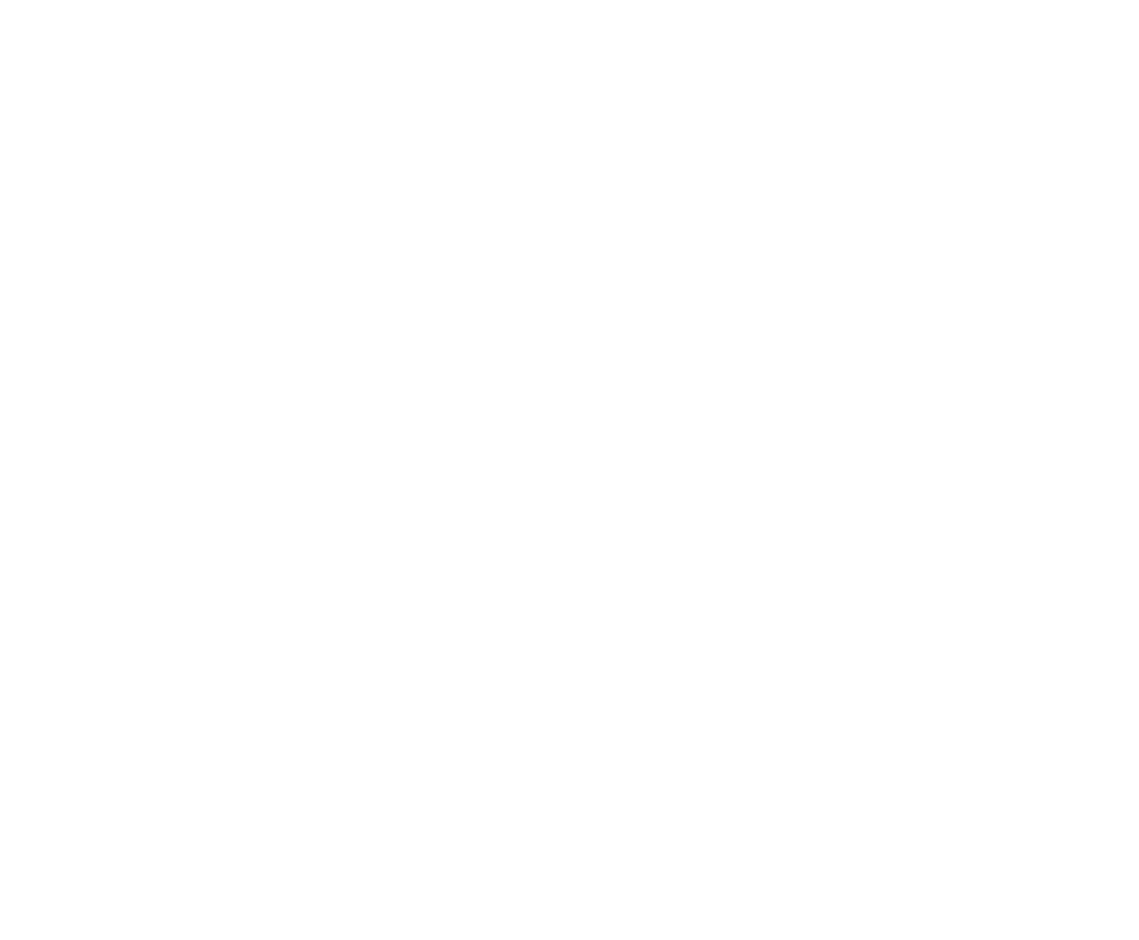 logo_img
